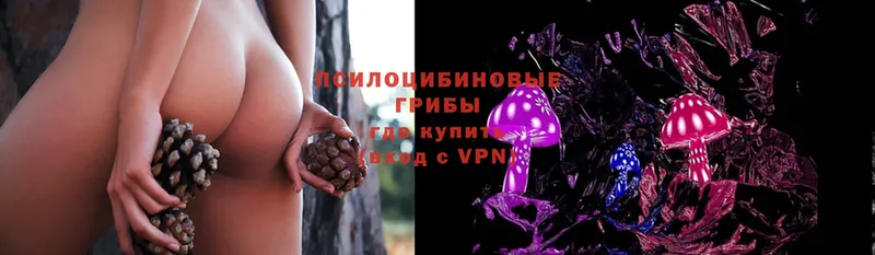 где можно купить наркотик  Волхов  Галлюциногенные грибы Magic Shrooms 